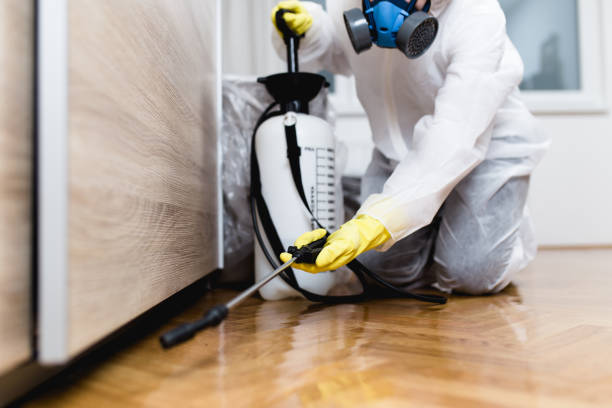 Best Rat Extermination Near Me  in Mapleton, UT