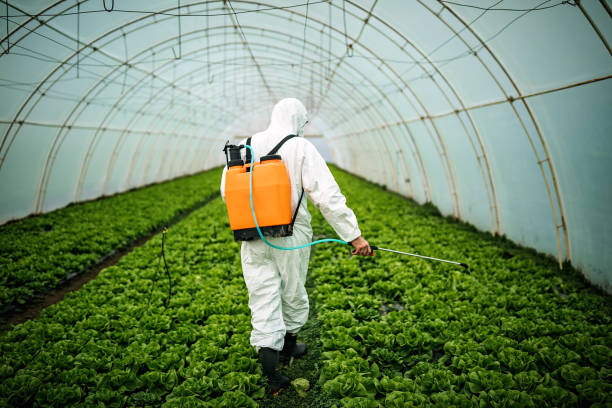 Best Exterminator Services  in Mapleton, UT