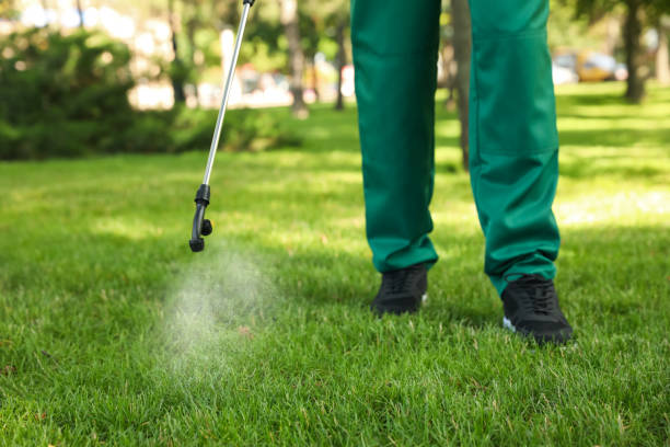 Best Pest Prevention Services  in Mapleton, UT
