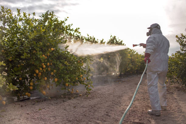 Trusted Mapleton, UT Pest Control Experts