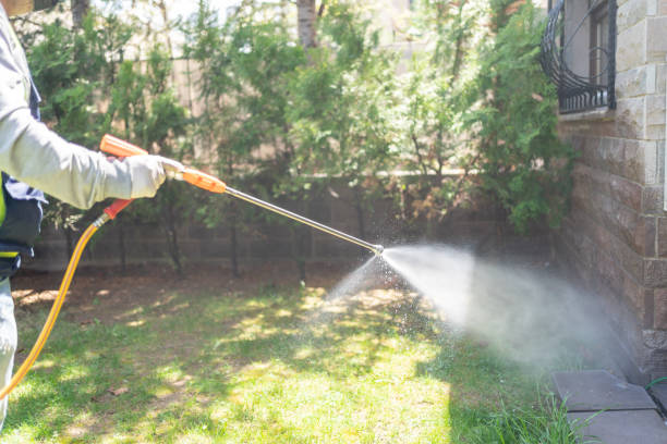 Best Emergency Pest Control  in Mapleton, UT