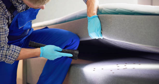 Best Pest Control Near Me in Mapleton, UT