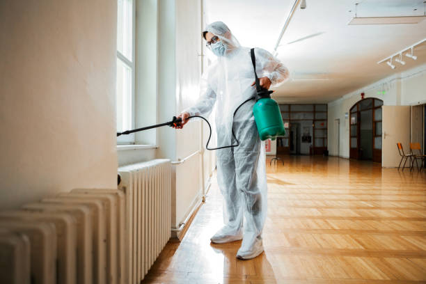 Best Mosquito Control Services  in Mapleton, UT