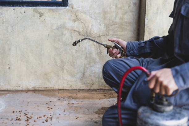 Best Pest Removal Services  in Mapleton, UT